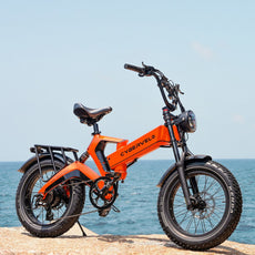 EK6 48V25AH/40AH 100-120Miles 28MPH